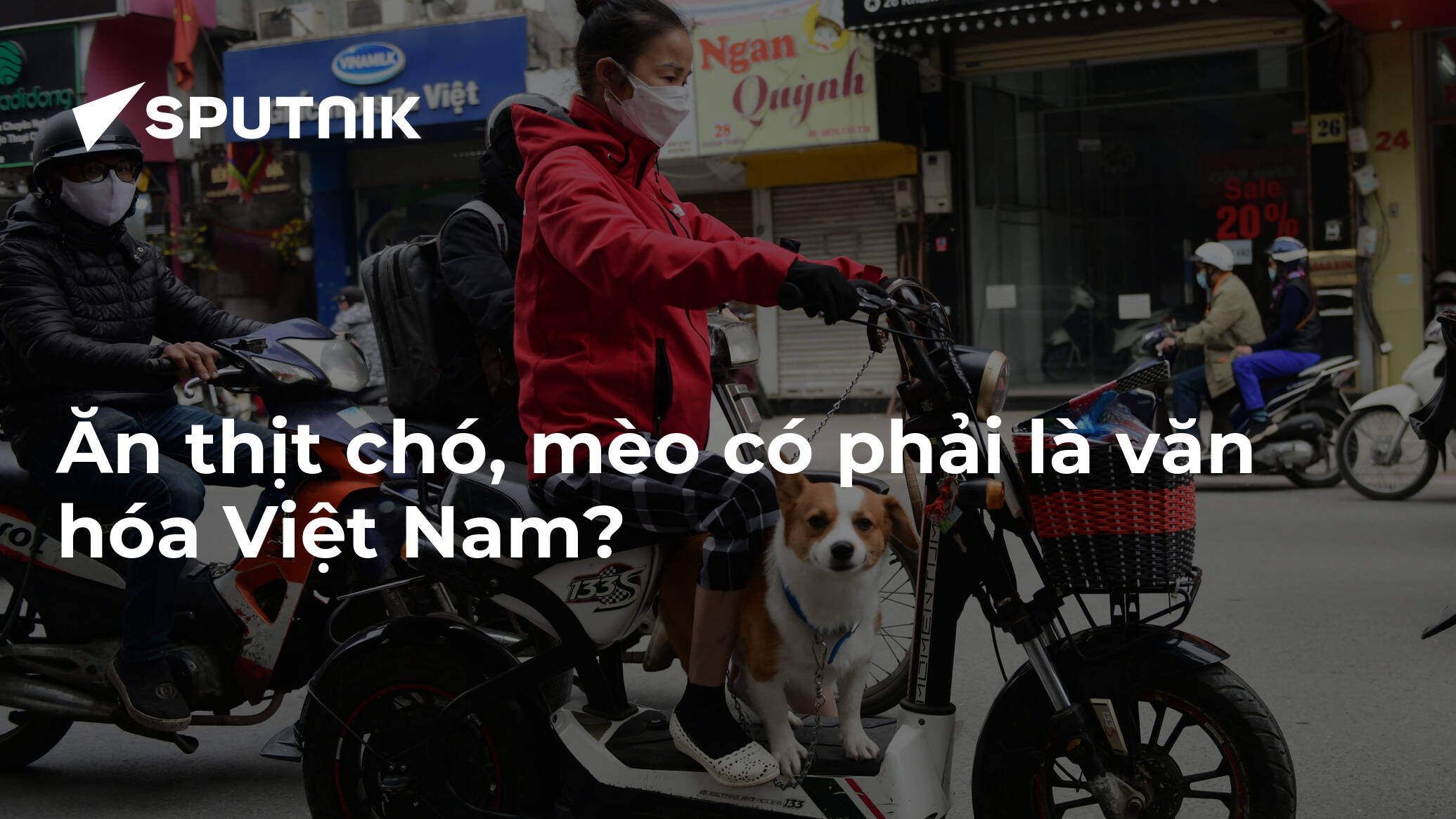 Ăn thịt chó, mèo có phải là văn hóa Việt Nam?