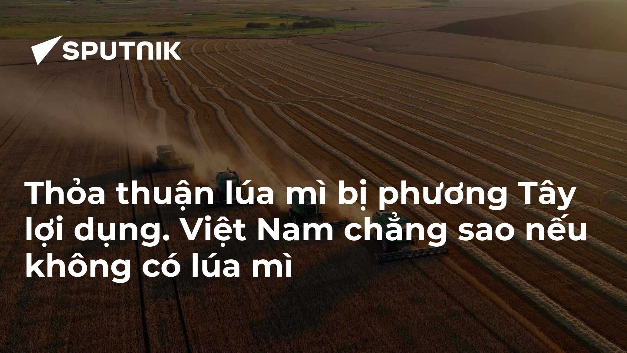 Thỏa thuận lúa mì bị phương Tây lợi dụng. Việt Nam chẳng sao nếu không có lúa mì