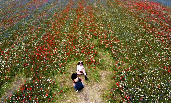 Những cô gái trên cánh đồng đang nở rộ của Casteluccio ở Umbria, Ý - Sputnik Việt Nam