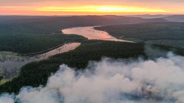 Cảnh khu rừng bị che phủ trong khói ở vùng Krasnoyarsk - Sputnik Việt Nam