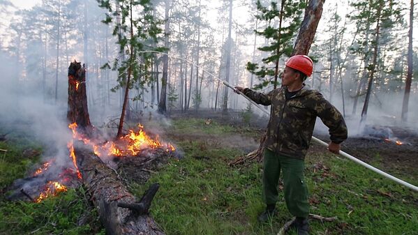 Nhân viên Cơ quan liên bang Căn cứ trung tâm hàng không bảo vệ rừng Avialesokhrana dập tắt đám cháy trong rừng Yakutia - Sputnik Việt Nam