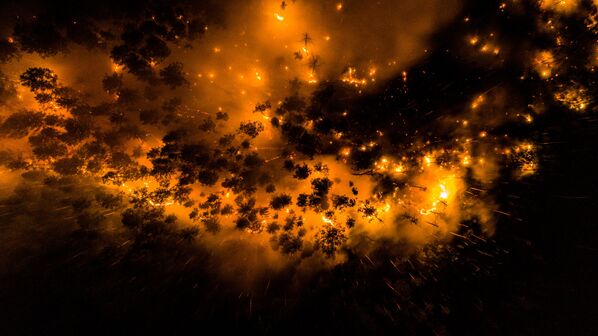 Cảnh tượng từ trên cao nhìn xuống khu rừng đang cháy trong vùng Krasnoyarsk - Sputnik Việt Nam