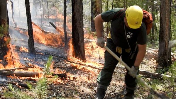 Nhân viên Cơ quan liên bang Căn cứ trung tâm hàng không bảo vệ rừng Avialesokhrana giúp dập tắt đám cháy rừng ở vùng Krasnoyarsk - Sputnik Việt Nam