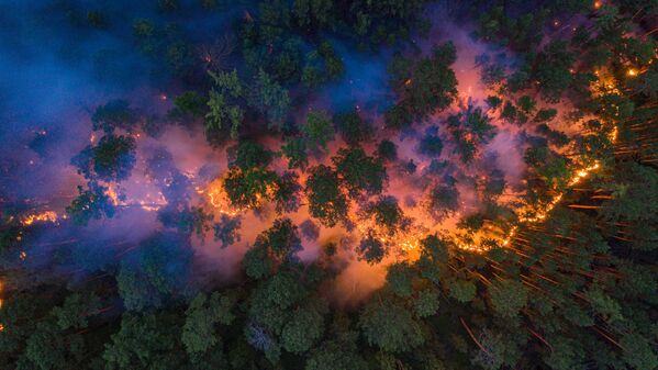 Cảnh tượng từ trên cao nhìn xuống khu rừng đang cháy trong vùng Krasnoyarsk - Sputnik Việt Nam