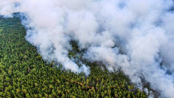 Khói từ đám cháy rừng ở vùng Krasnoyarsk - Sputnik Việt Nam