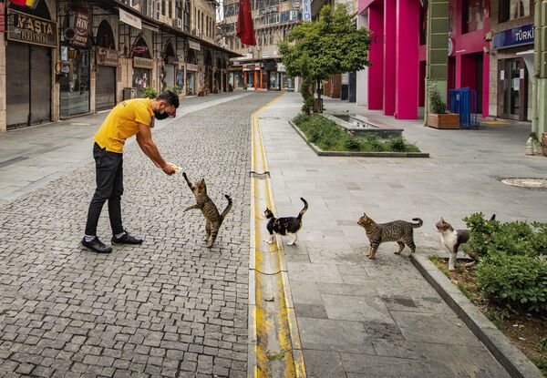 Ảnh Khi gọi món ăn, hãy giữ khoảng cách xã hội của nhiếp ảnh gia người Thổ Nhĩ Kỳ Mehmet Aslan, được gửi đến cuộc thi Mars Petcare Comedy Pet Photography Awards - Sputnik Việt Nam