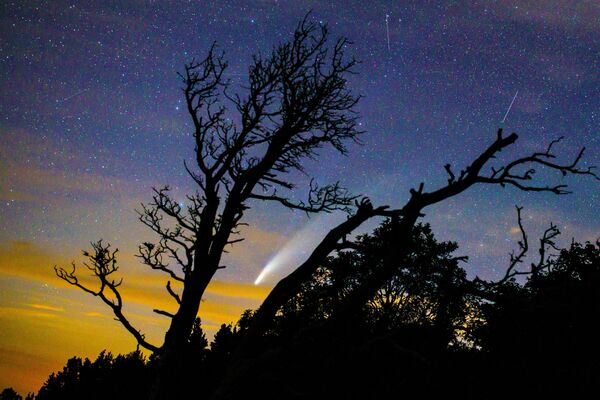 Sao chổi NeoWise trên bầu trời vùng Krasnodarskiy  - Sputnik Việt Nam