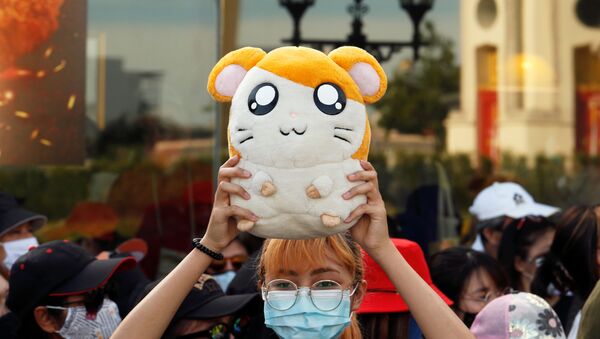  Cô gái với chú chuột hamster Hamtaro trong cuộc biểu tình ở Bangkok - Sputnik Việt Nam