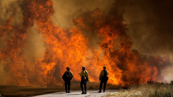 Lính cứu hỏa tại bãi cỏ đang cháy ở California - Sputnik Việt Nam
