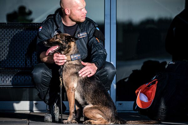 Thành viên đội tìm kiếm và cứu hộ cùng chú chó từ Hà Lan lên đường sang Beirut  - Sputnik Việt Nam