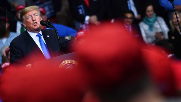 Donald Trump phát biểu tại cuộc mít tinh trước chiến dịch bầu cử ở Bắc Carolina - Sputnik Việt Nam