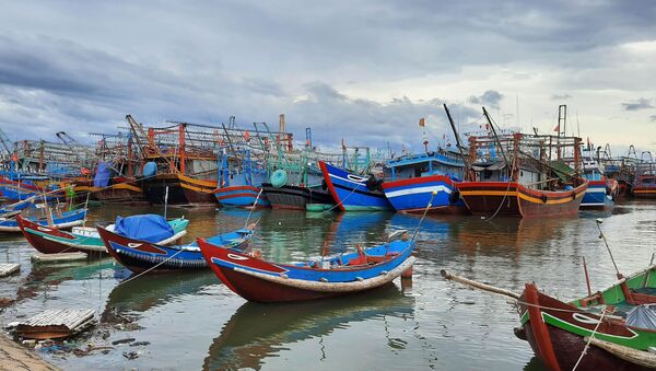  Tàu thuyền của ngư dân tránh trú bão tại khu neo đậu Cửa Viêt. - Sputnik Việt Nam