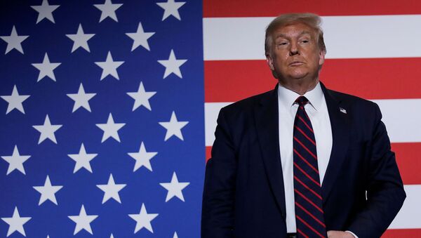 Tổng thống Mỹ Donald Trump trên nền lá cờ Mỹ - Sputnik Việt Nam