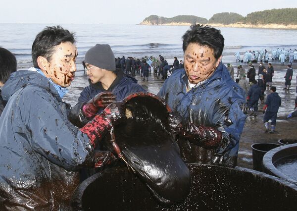 Cư dân thu gom dầu tràn ở Hàn Quốc, 2007 - Sputnik Việt Nam