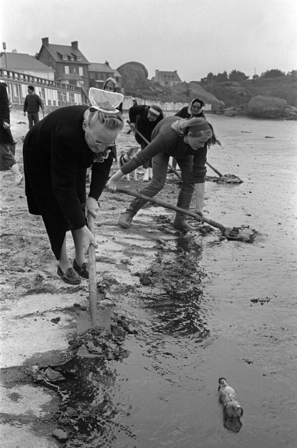 Binh lính và tình nguyện viên dọn dẹp hậu quả của sự cố tràn dầu trên bờ biển Brittany thuộc Pháp, năm 1967 - Sputnik Việt Nam