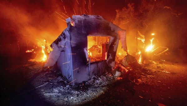Ngôi nhà cháy trong đám cháy rừng ở California - Sputnik Việt Nam