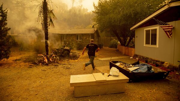 Một người đàn ông chạy cứu con chó khi đám cháy tiến đến gần nhà, California - Sputnik Việt Nam