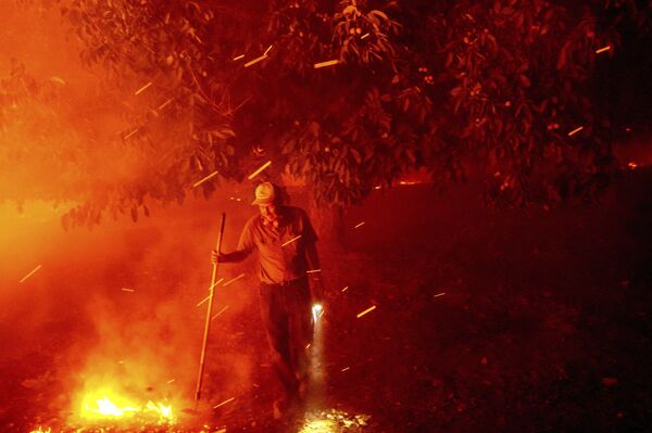 Bill Nichols, 84 tuổi, cố gắng cứu ngôi nhà của mình trong vụ cháy rừng ở Vacaville, California - Sputnik Việt Nam