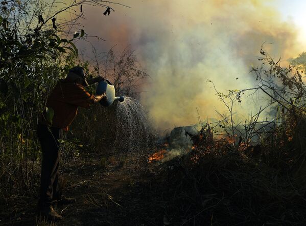 Nông dân dập lửa ở khu bảo tồn thiên nhiên Amazon, Brazil - Sputnik Việt Nam