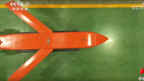 Thiên Lôi-500 (Tianlei-500) là bom chùm đa mục tiêu có khả năng mang theo đồng thời 6 loại bom con khác nhau, kể cả bom phá hủy đường băng sân bay.  - Sputnik Việt Nam
