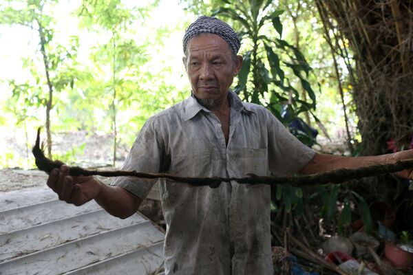 Con trai cụ Nguyễn Văn Chiến 92 tuổi (ở Việt Nam) khoe búi tóc dài 5m của bố - Sputnik Việt Nam