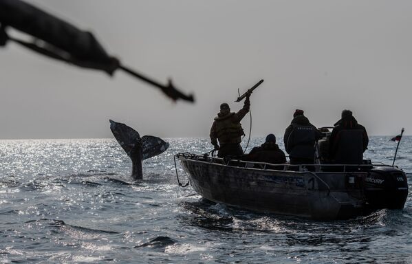 Những người đi săn cá voi ở eo biển Bering - Sputnik Việt Nam