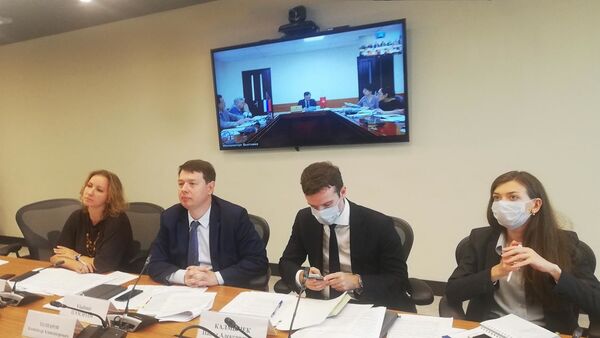 Cuộc họp của Nhóm công tác cấp cao Nga-Việt về các dự án đầu tư ưu tiên - Sputnik Việt Nam