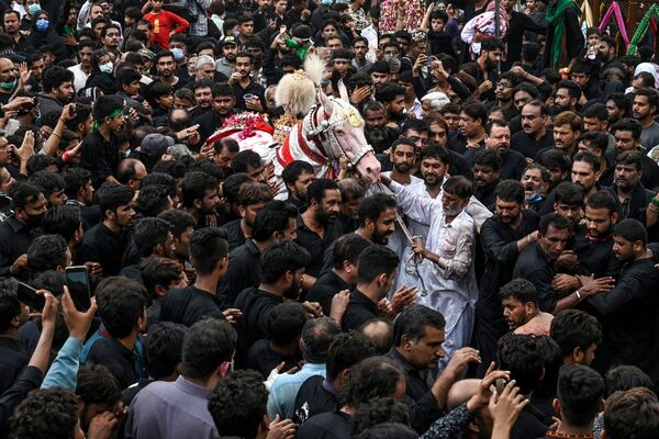 Người Shiite cố gắng chạm vào con ngựa trắng trong lễ hội Ashura ở Pakistan - Sputnik Việt Nam