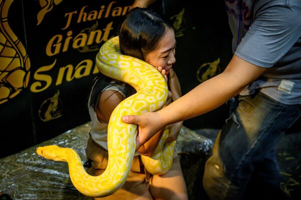 Khách tham quan với con trăn tại hội chợ thú cưng ở Thái Lan - Sputnik Việt Nam