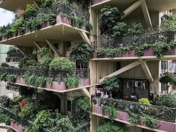 Quang cảnh những tòa nhà chọc trời sinh thái cây cối mọc um tùm ở thành phố Thành Đô, Trung Quốc - Sputnik Việt Nam