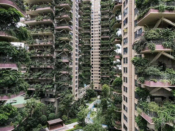 Quang cảnh những tòa nhà chọc trời sinh thái cây cối mọc um tùm ở thành phố Thành Đô, Trung Quốc - Sputnik Việt Nam