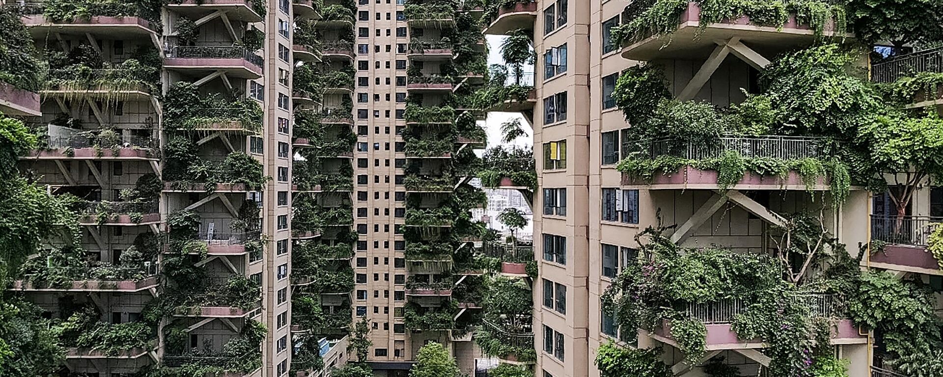 Quang cảnh những tòa nhà chọc trời sinh thái cây cối mọc um tùm ở thành phố Thành Đô, Trung Quốc - Sputnik Việt Nam, 1920, 16.09.2020