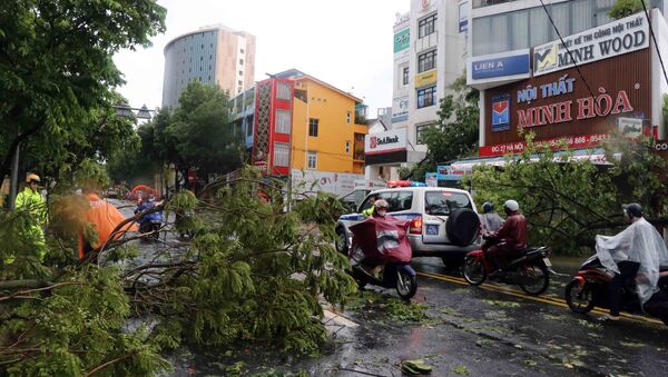 Bão số 5 đổ bộ làm gẫy đổ nhiều cây xanh, cột điện tại thành phố Huế. - Sputnik Việt Nam