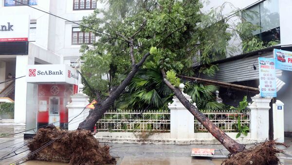  Bão số 5 đổ bộ làm gẫy đổ nhiều cây xanh, cột điện tại thành phố Huế.  - Sputnik Việt Nam
