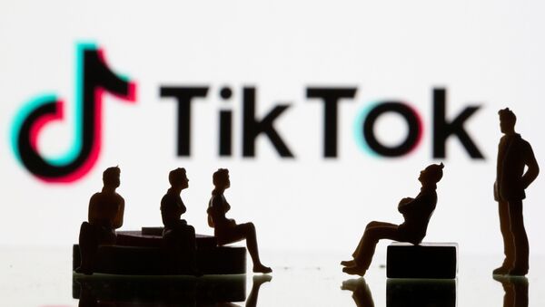 Các hình trên nền logo mạng xã hội TikTok - Sputnik Việt Nam