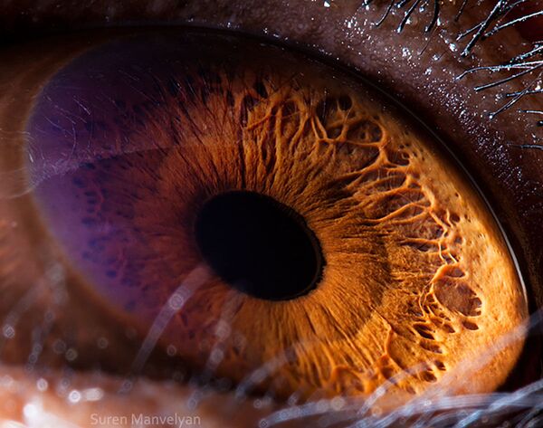 Ảnh chụp macro mắt con tinh tinh của nhiếp ảnh gia Suren Manvelyan - Sputnik Việt Nam