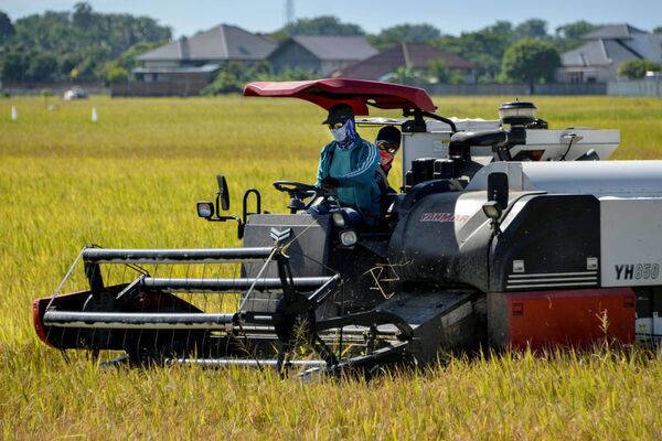 Tại sao Indonesia mở ra cơ hội phát triển hợp tác nông nghiệp với Trung Quốc? Tại sao Indonesia mở ra cơ hội phát triển hợp tác nông nghiệp với Trung Quốc? - Sputnik Việt Nam