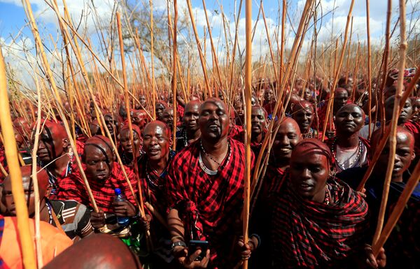 Những người đàn ông của bộ lạc Maasai trong nghi lễ dành cho các chiến binh nhỏ tuổi, Kenya - Sputnik Việt Nam