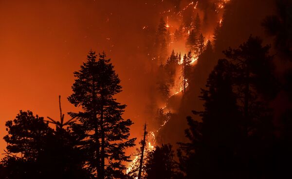 Cháy rừng ở Los Angeles, California - Sputnik Việt Nam
