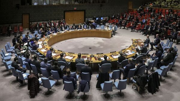 Cuộc họp của Hội đồng Bảo an Liên hợp quốc tại New York - Sputnik Việt Nam