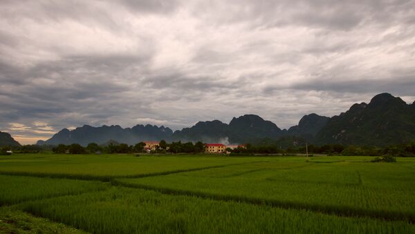 Cánh đồng lúa gần thị trấn Kimboi, tỉnh Hòa Bình, Việt Nam - Sputnik Việt Nam
