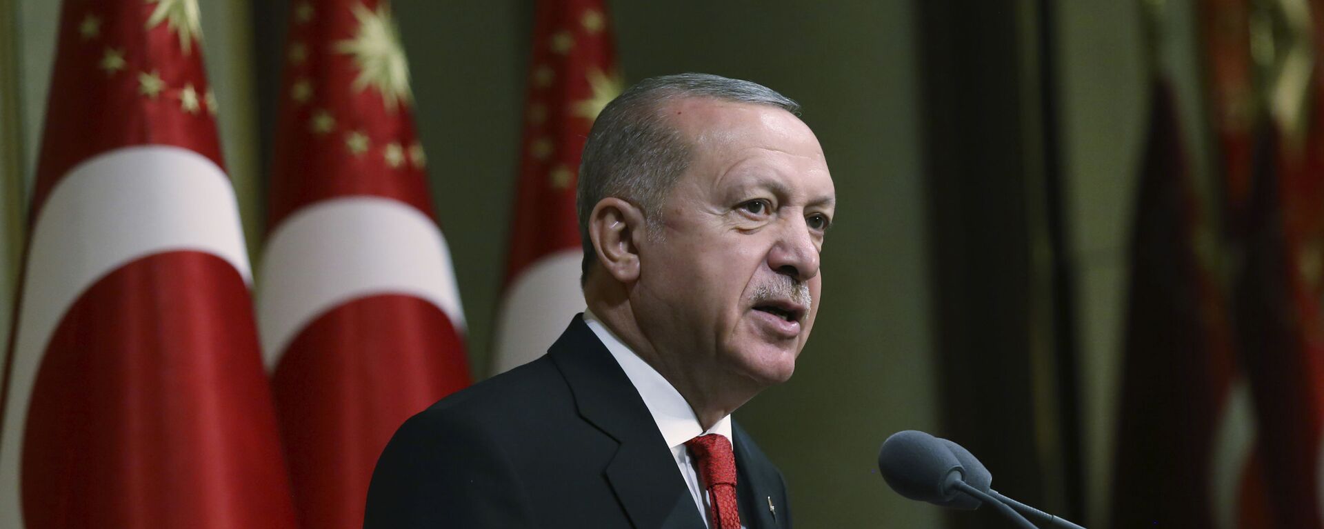 Tổng thống Thổ Nhĩ Kỳ Recep Tayyip Erdogan phát biểu tại dinh thự tổng thống ở Ankara - Sputnik Việt Nam, 1920, 18.10.2021