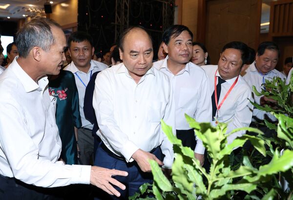 Tính chiến lược mới cho mặt hàng đứng đầu thế giới của Việt Nam Tính chiến lược mới cho mặt hàng đứng đầu thế giới của Việt Nam - Sputnik Việt Nam