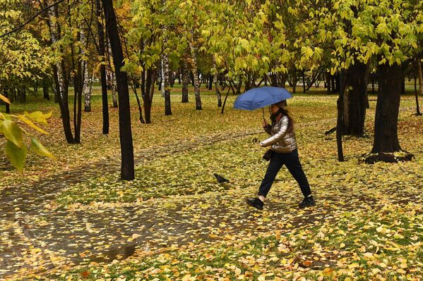 Mùa thu ở Novosibirsk - Sputnik Việt Nam