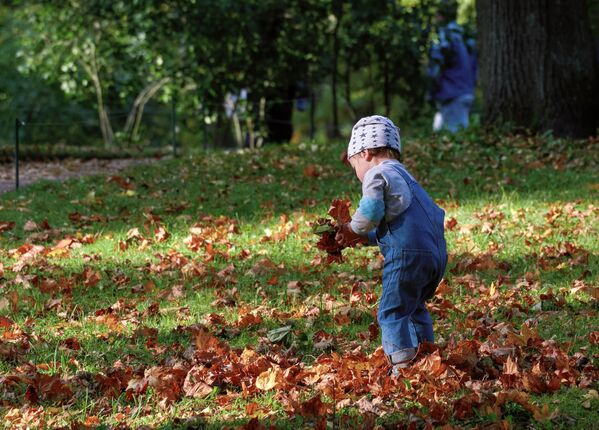 Đứa trẻ đi dạo trong công viên Priorisky, thị trấn Gatchina, ngoại ô St.Petersburg - Sputnik Việt Nam