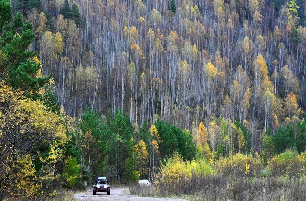 Chiếc xe ATV chạy trong rừng taiga ở Đông Siberia, ngoại ô Krasnoyarsk - Sputnik Việt Nam