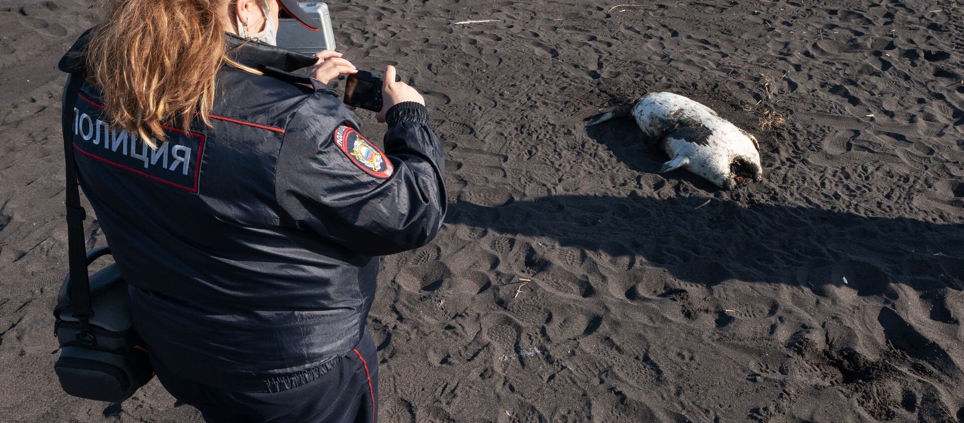 Một nhân viên của Bộ Nội vụ của Lãnh thổ Kamchatka trong các hoạt động tìm kiếm hoạt động tại địa điểm xảy ra vụ việc được cho là trên bãi biển Khalaktyrsky ở Kamchatka - Sputnik Việt Nam, 1920, 05.10.2020