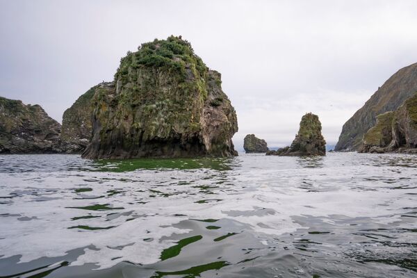 Chuyện dị thường chưa bao giờ từng có ở Kamchatka sẽ dẫn đến đâu Chuyện dị thường chưa bao giờ từng có ở Kamchatka sẽ dẫn đến đâu - Sputnik Việt Nam