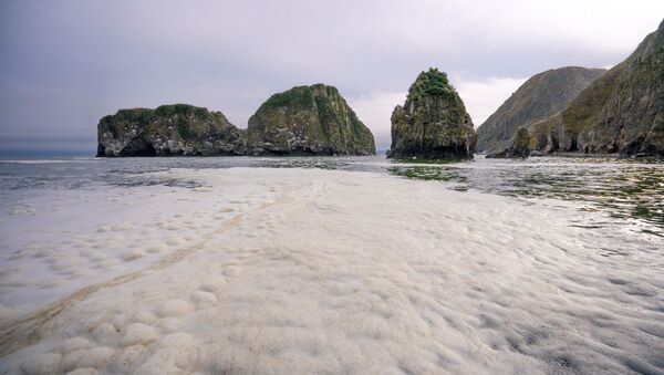 Bãi biển Khalaktyrsky trên bán đảo Kamchatka bị ô nhiễm chất độc hại. - Sputnik Việt Nam