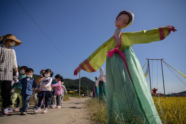 Bù nhìn trong trang phục Hanbok truyền thống trên cánh đồng lúa ở Hàn Quốc - Sputnik Việt Nam